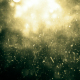 Noise Particles - VideoHive Item for Sale