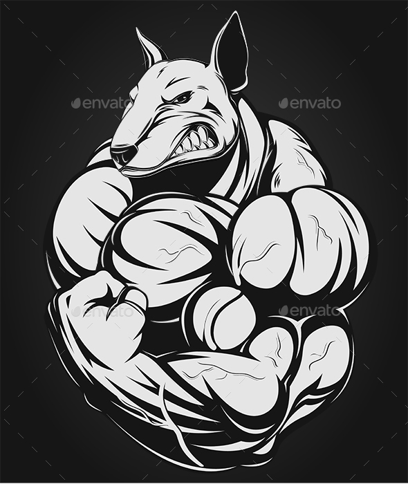 Dog Builder - Sports/Activity Conceptual