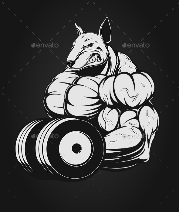 Dog Builder - Sports/Activity Conceptual