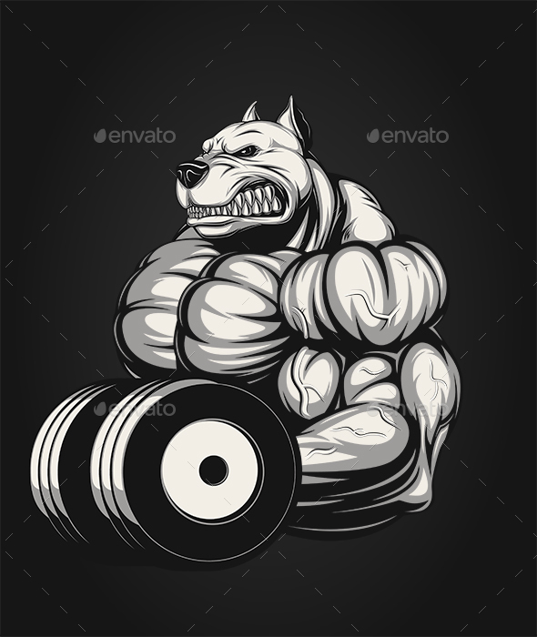 Strong Dog - Sports/Activity Conceptual