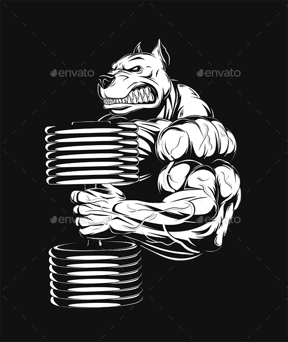 Strong Dog - Sports/Activity Conceptual