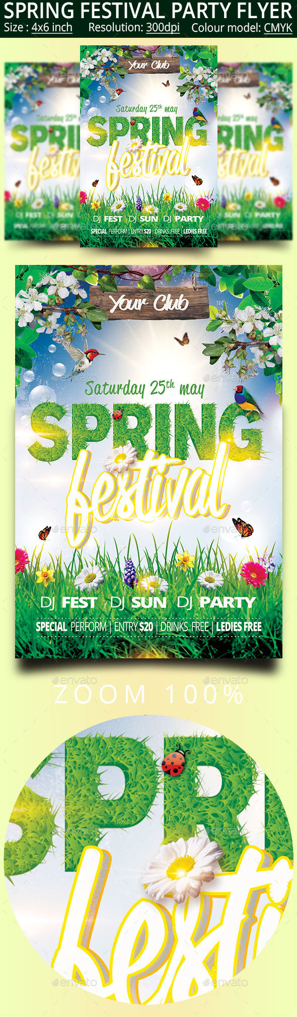 Spring Festival Party Flyer