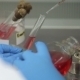 Work In a Chemical Laboratory - VideoHive Item for Sale