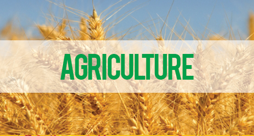AGRICULTURE