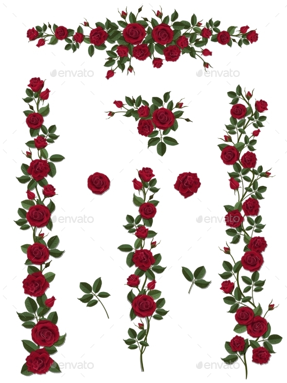 Set Brushes Flowers Climbing Red Roses - Flowers & Plants Nature