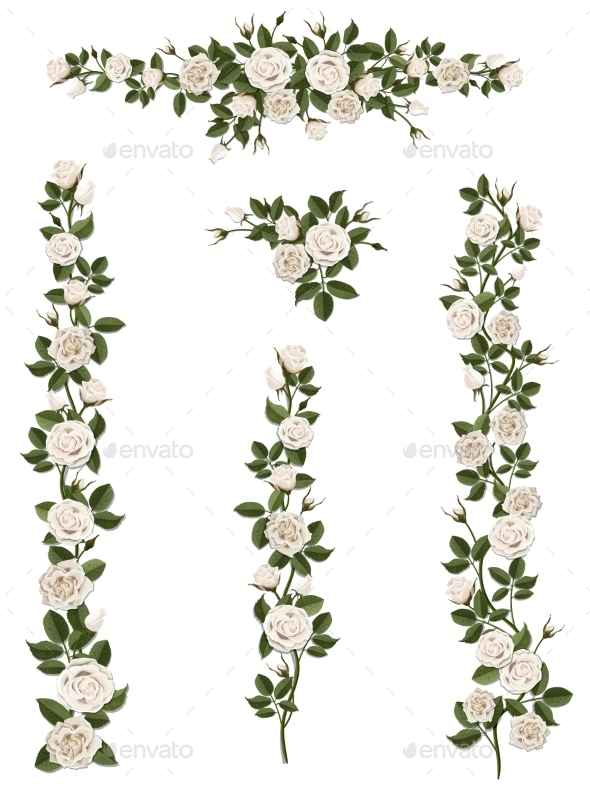 Set Brushes Flowers Climbing White Roses - Flowers & Plants Nature