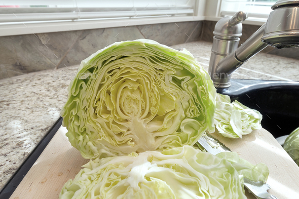Cross Section of Headed Cabbage Closeup
