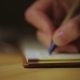Woman Writing Into Notebook - VideoHive Item for Sale