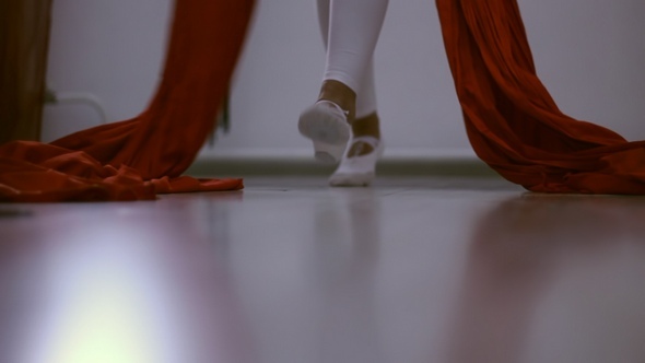 Legs of a Dancing Girl in the Gym alt