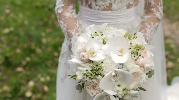 Beautiful Bride Holding Her Bouquet
