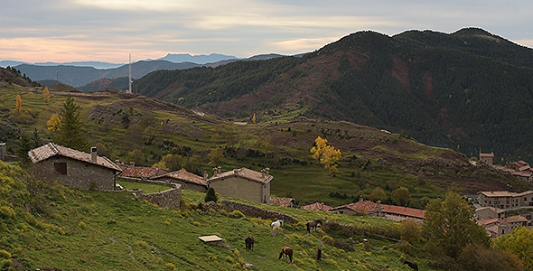 Horses and Mountains