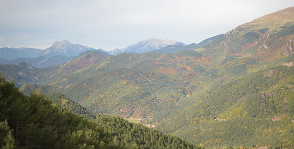 Green Mountains with Trees