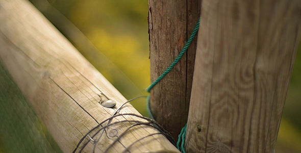 Wood Fence and Green Background