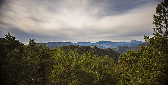 Mountain Clouds, Pines and Trees