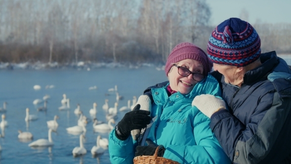 Elderly Couple Embracing In The Background Of The Lake With Swans alt