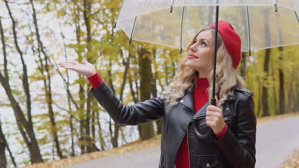 Woman Rolled Up Her Umbrella alt