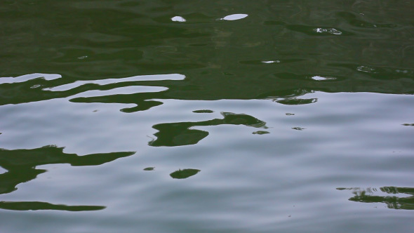 Background Of Calm Waving Water Surface