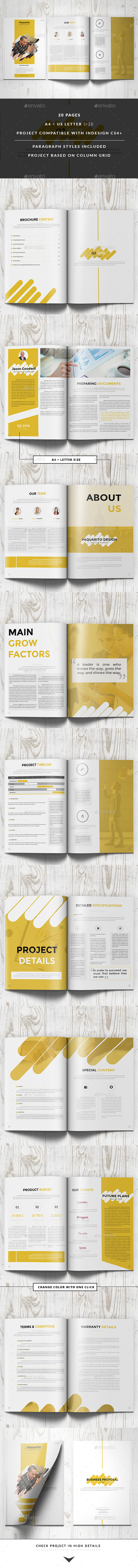 Paquarito Business Proposal - Informational Brochures