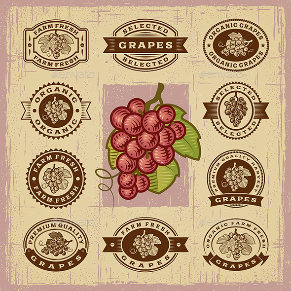 Vintage Grapes Stamps Set - Decorative Symbols Decorative