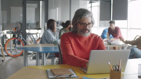 Senior Businessman Working on Laptop in Office alt