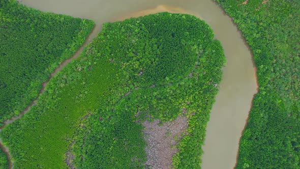 4K Aerial view of mangrove forest and beautiful river bends alt