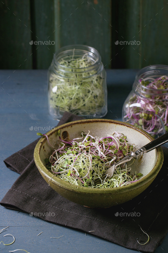 Fresh Sprouts salad - Stock Photo - Images