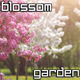 Blossoming Garden Blossoming Garden - VideoHive Item for Sale