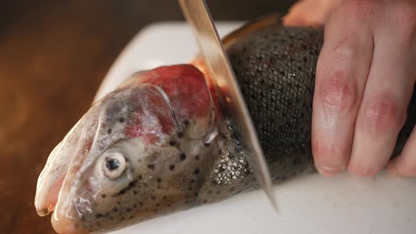 Cook Cuts Off the Head of a Trout with a Knife Closeup alt