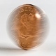 Spinning Coin Spinning Coin
