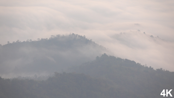 Moving Fog On Mountain alt