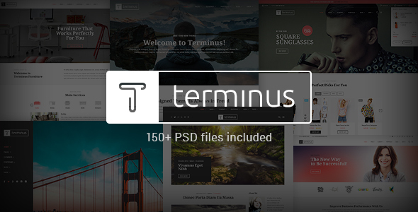 Terminus - Multi-Purpose - ThemeForest 14980744