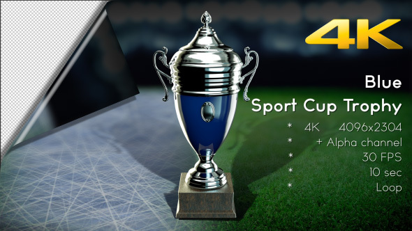 3D Sport Cup Trophy 06 