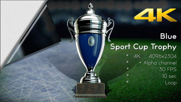 3D Sport Cup Trophy 07