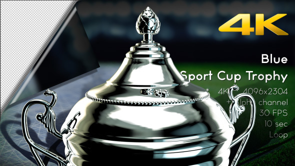 3D Sport Cup Trophy 09