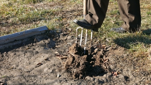 Digging Spring Earth Soil In Garden With Pitchfork