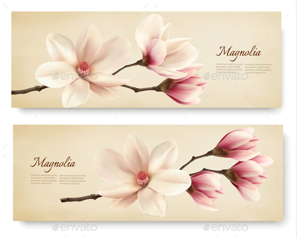 Two Magnolia Banners - Flowers & Plants Nature