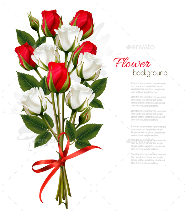 Bouquet of Red and White Roses - Flowers & Plants Nature
