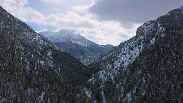 Flying through snowy canyon over pine tree forest towards Timpanogos ...