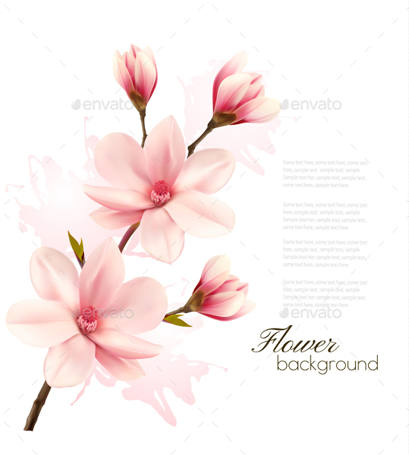 Spring Background with Blossom Brunch of Pink Magnolia - Flowers & Plants Nature