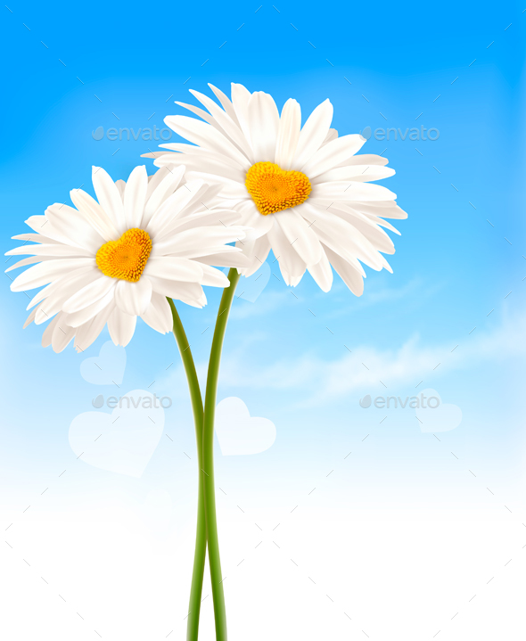 Two Daisies with Heart Shaped Middles - Flowers & Plants Nature