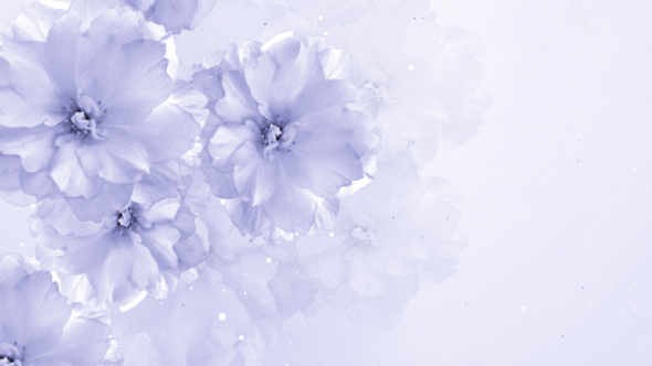 Delicate Floral Background