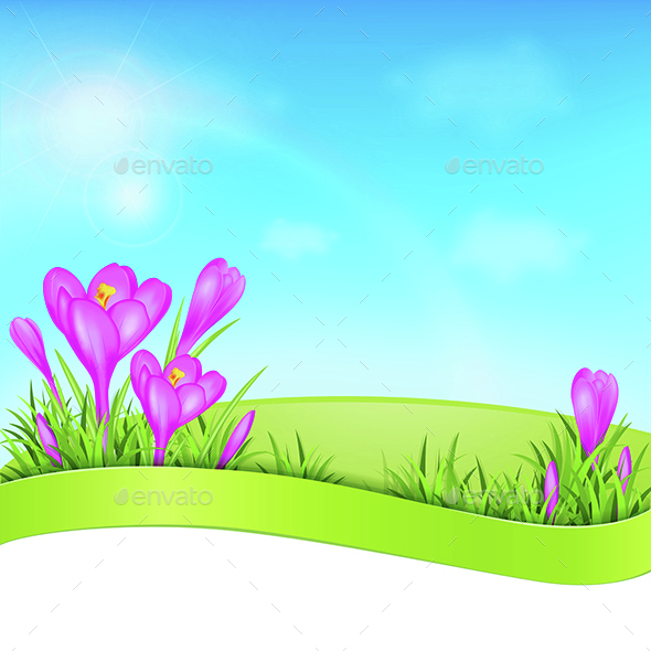 Violet Crocus and Green Grass - Flowers & Plants Nature