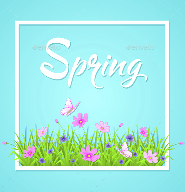 Blue Spring Background - Seasons Nature