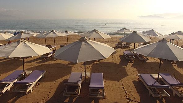 Flying Away from a Beach to the Sea alt