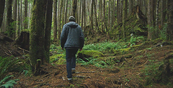 Man Walking Through Forest