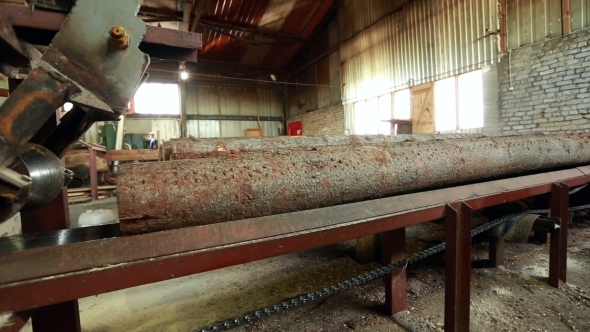 View Of Log Moving Along Conveyor Belt To Saw