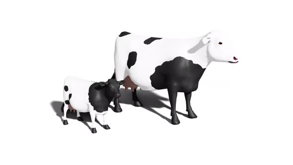 cow 3D
