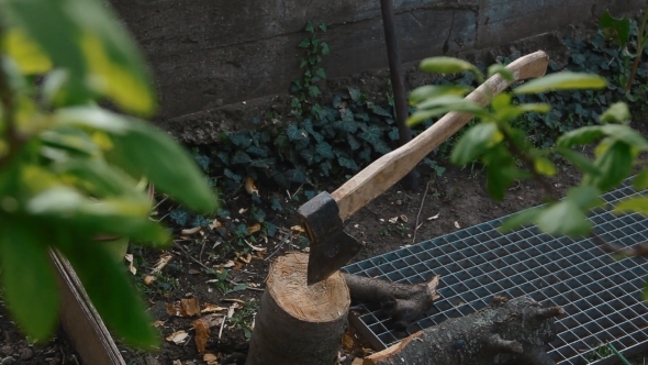 Axe On The Log