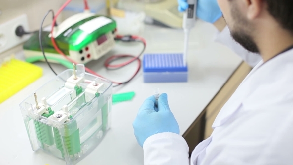 Laboratory Workplace For DNA Test, Stock Footage | VideoHive