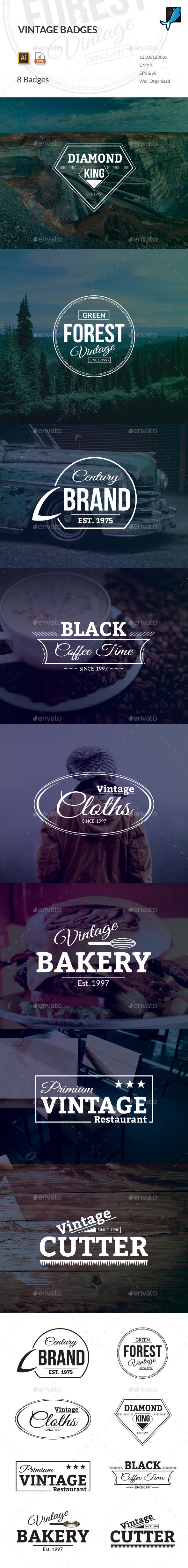 Vintage Badges - Badges & Stickers Web Elements